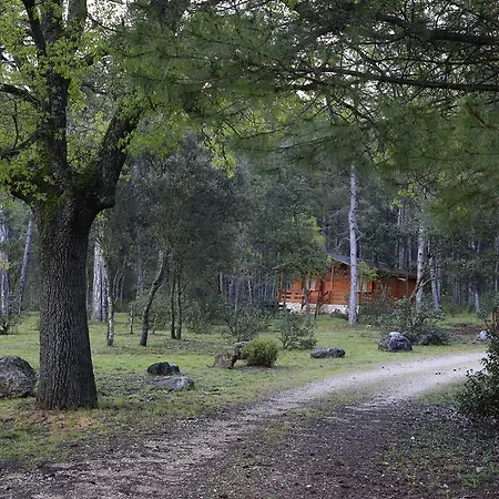 El Llano De Los Conejos Serrania De Cuenca Cañamares Esterno foto