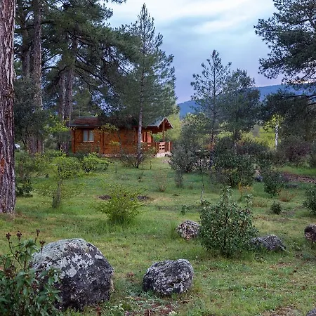 El Llano De Los Conejos Serrania De Cuenca Cañamares Esterno foto