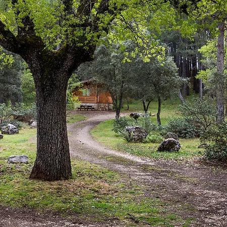 El Llano De Los Conejos Serrania De Cuenca Cañamares Esterno foto