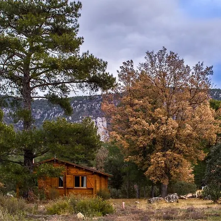 El Llano De Los Conejos Serrania De Cuenca Cañamares Esterno foto