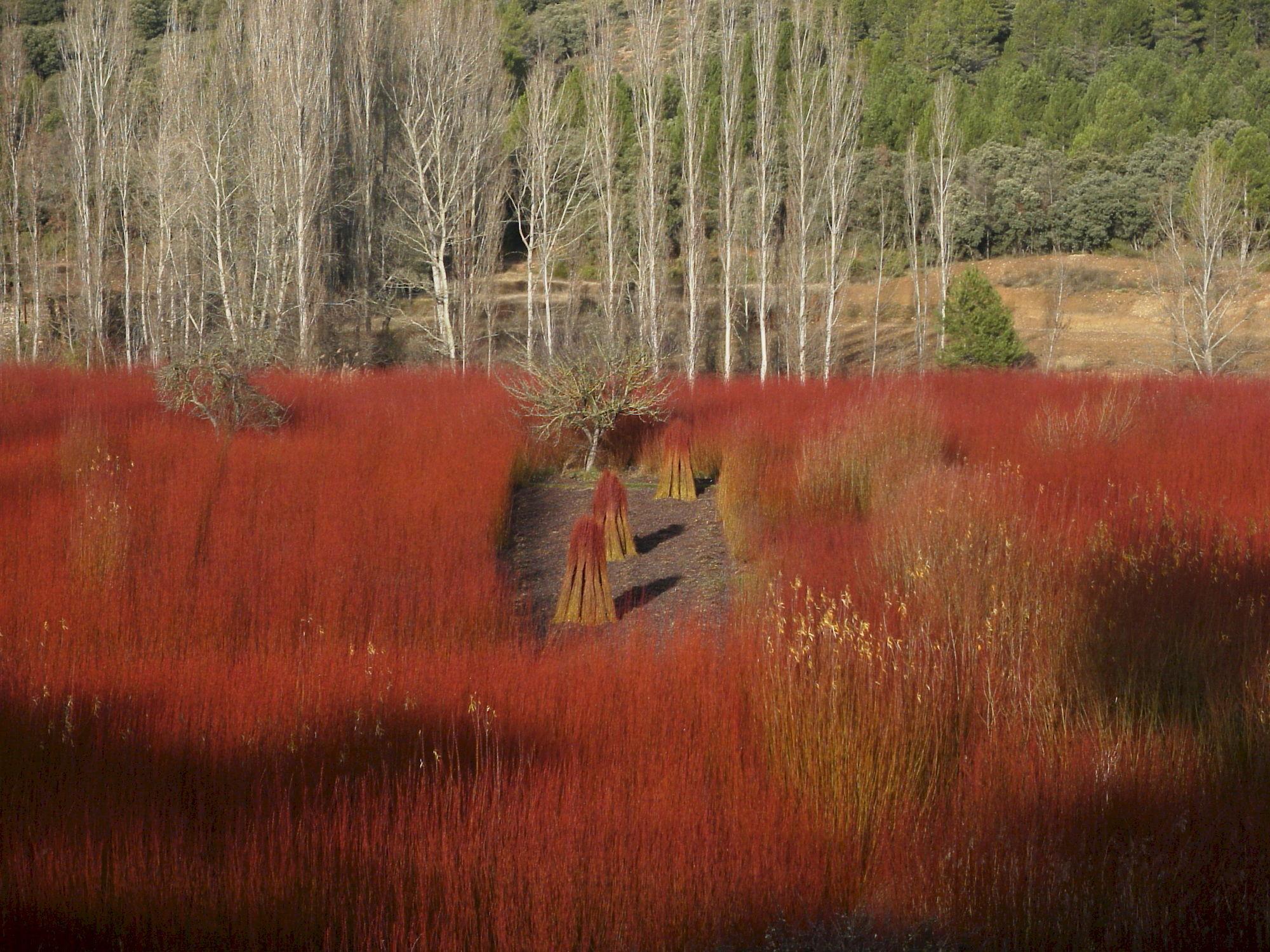 El Llano De Conejos Serrania De Cuenca Country house