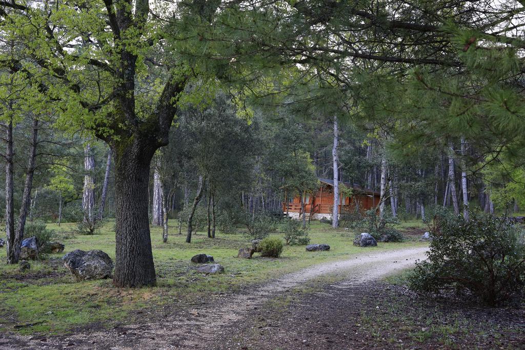 El Llano De Conejos Serrania De Cuenca