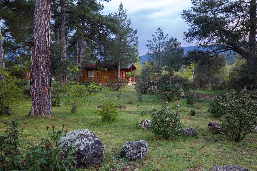 El Llano De Conejos Serrania De Cuenca Canamares
