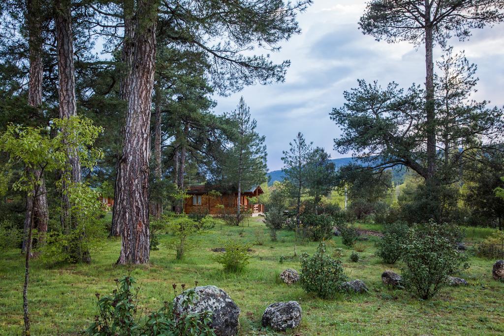 El Llano De Conejos Serrania De Cuenca