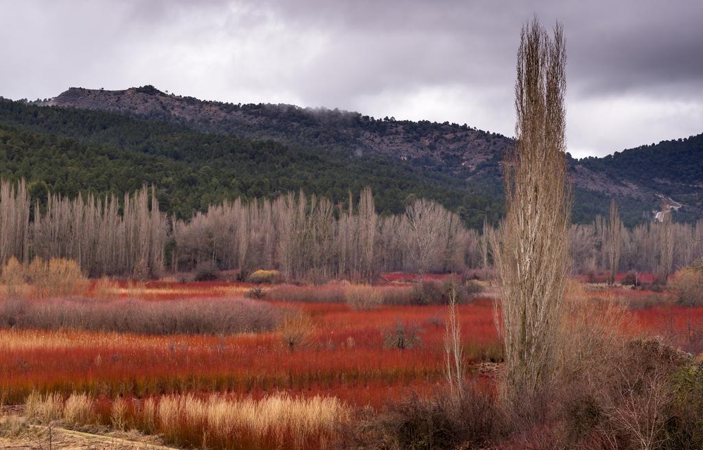 El Llano De Conejos Serrania De Cuenca *