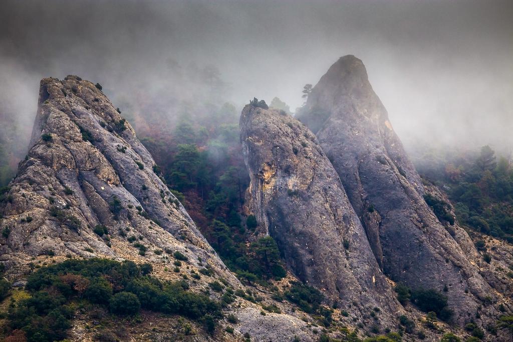 El Llano De Conejos Serrania De Cuenca Séjour à la campagne *